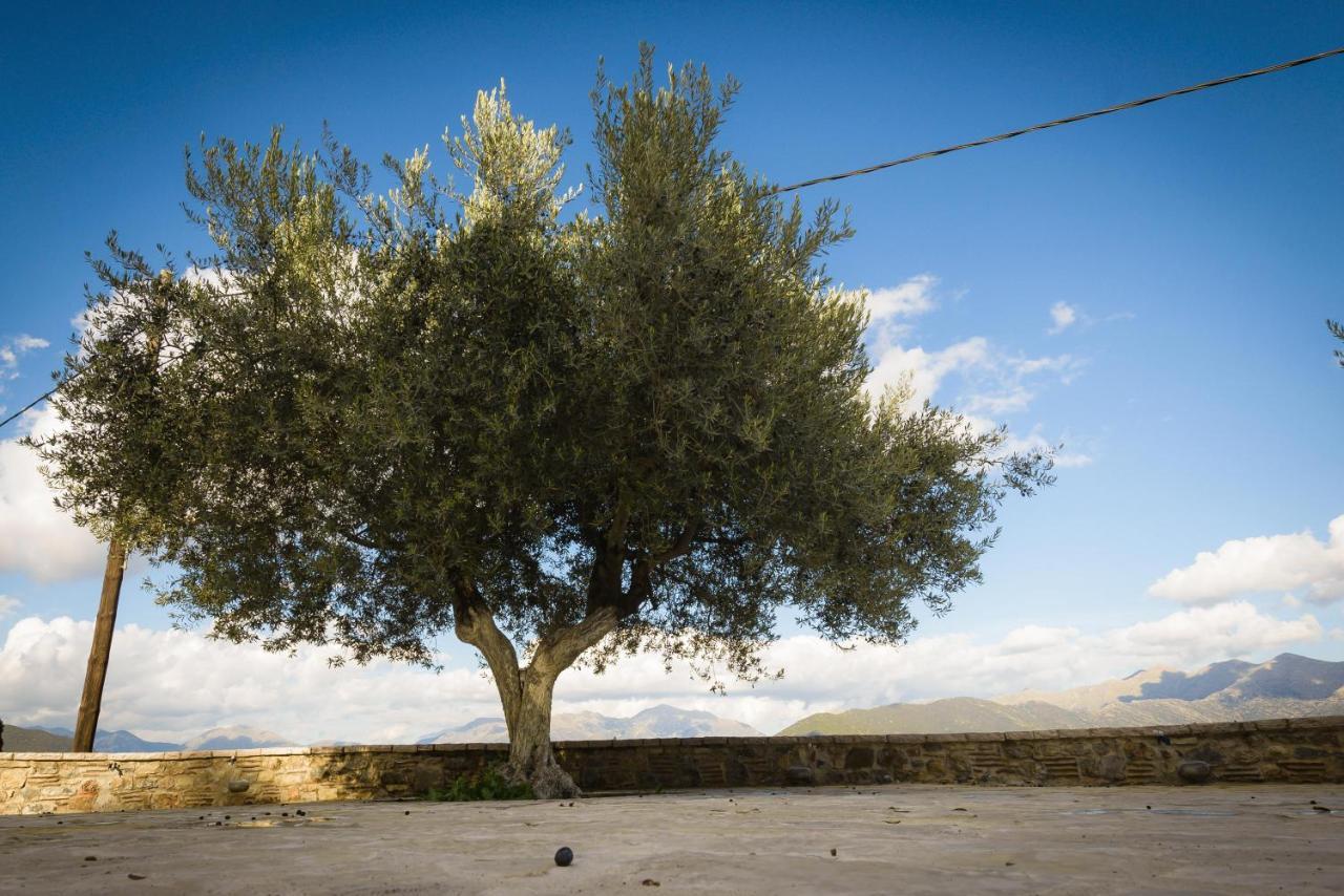 αρχοντικό γκιντώνη Levídhion