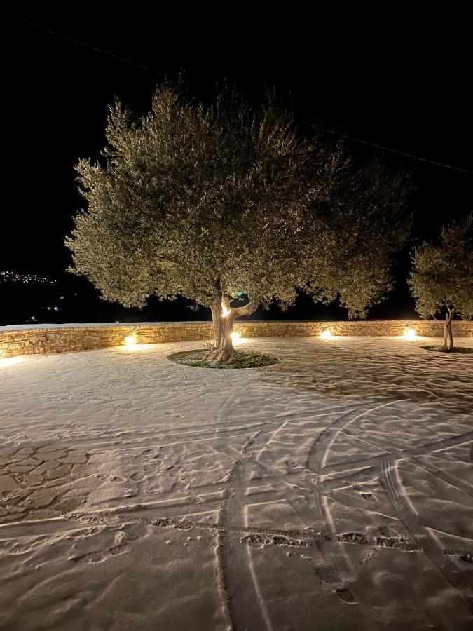 αρχοντικό γκιντώνη Levídhion