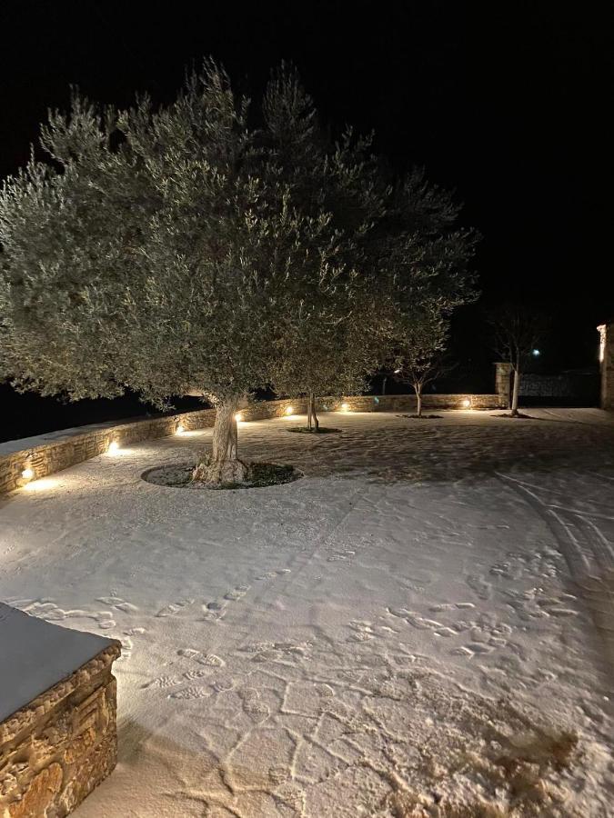αρχοντικό γκιντώνη Appartement Levídhion