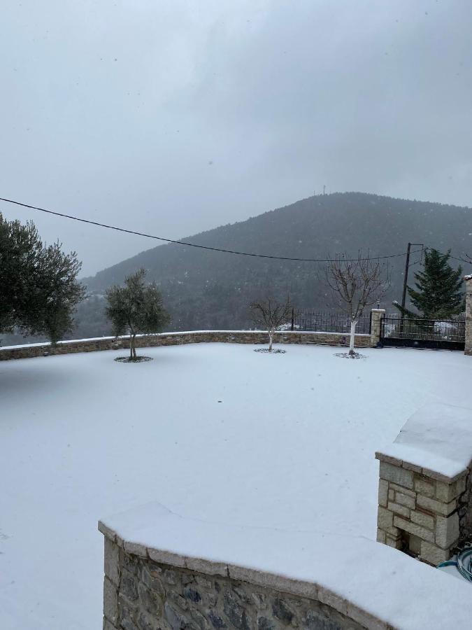 αρχοντικό γκιντώνη Levídhion